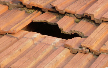 roof repair Swan Green