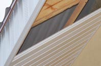 rated Swan Green soffit repair companies